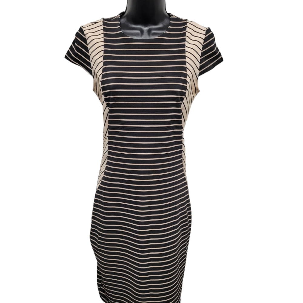 Renvy dress